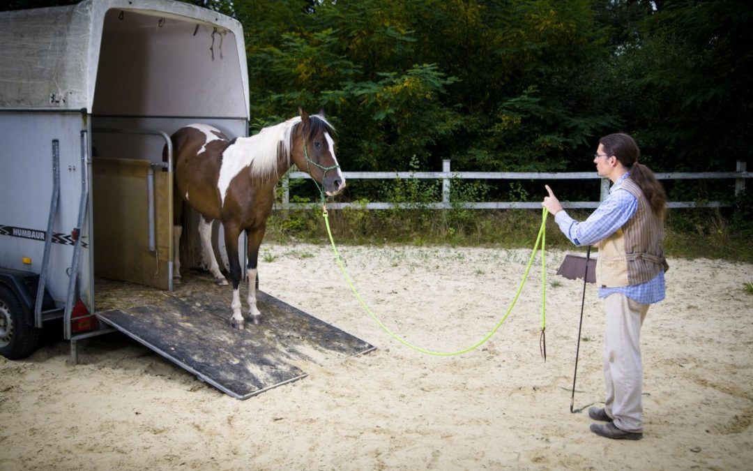 Hänger Verlade-Techniken