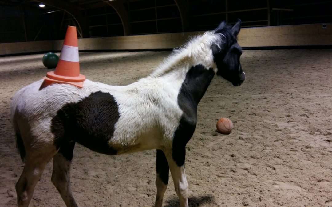 Eine alltägliche Geschichte